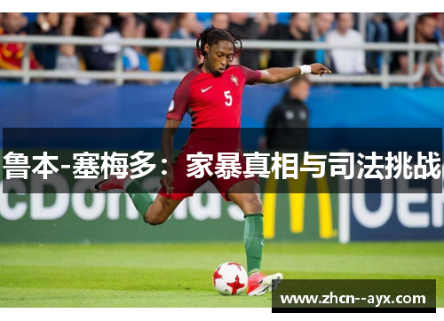 鲁本-塞梅多:家暴真相与司法挑战 鲁本-塞梅多:家暴真相与司法挑战