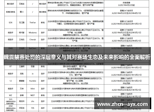 魏震禁赛处罚的深层意义与其对赛场生态及未来影响的全面解析