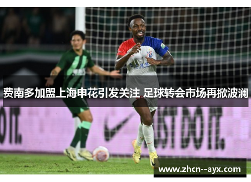 费南多加盟上海申花引发关注 足球转会市场再掀波澜